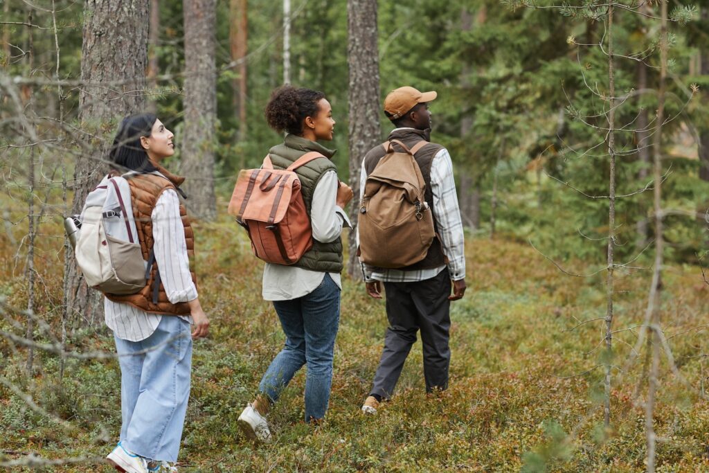 Three friends with backpacks hike together through a lush pine forest