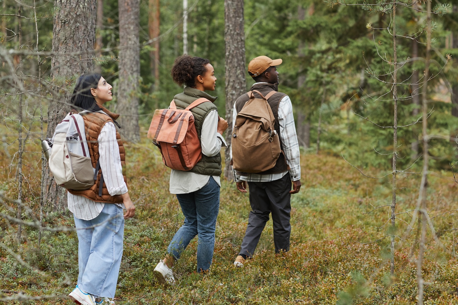 Three friends with backpacks hike together through a lush pine forest